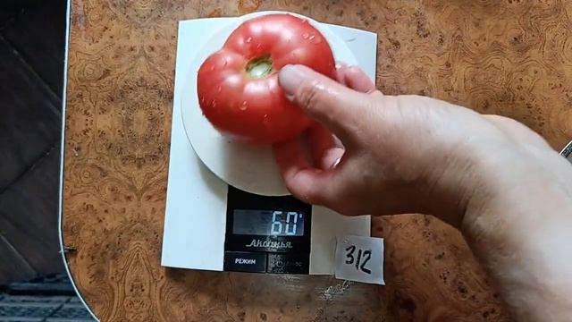 Томат ванский розовый