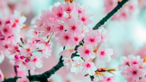 БЕЗУМНО КРАСИВАЯ МУЗЫКА ДЛЯ ДУШИ 🎵 ЛЕЧЕБНАЯ МУЗЫКА ДЛЯ МЕДИТАЦИИ 🎵 НЕЖНАЯ РЕЛАКС МУЗЫКА ДЛЯ СНА