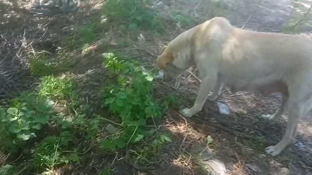 Наша семья обедает!!! смотреть онлайн