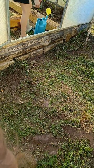 лето огородное