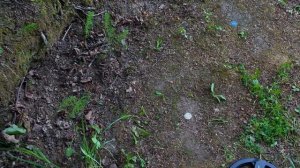 Тест Мантикора с катушкой М9