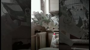 драконы из лайка[не мои]