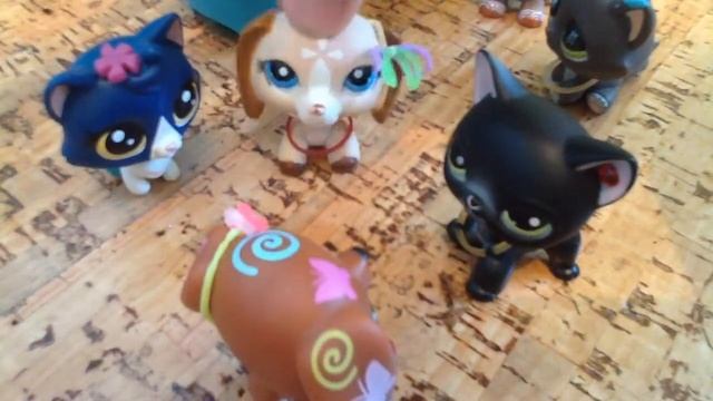 LPS: Мой Герой~ 24 серия { Последняя серия 1-ого сезона!} Жд?