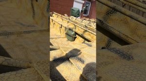 Лодка болотоход 5.2м.