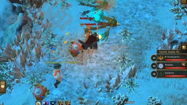 Drakensang Online Фарм дровишек с подписчиком