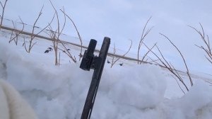 ВЕСЕННЯЯ ОХОТА НА ГУСЯ 2025!! СРЕДИ СНЕГА И ЛЬДА!!! СЕВЕРЯНИН НА ОХОТЕ!