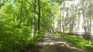 Это просто спасение.👍MEIDU Шампунь краска для волос,к?