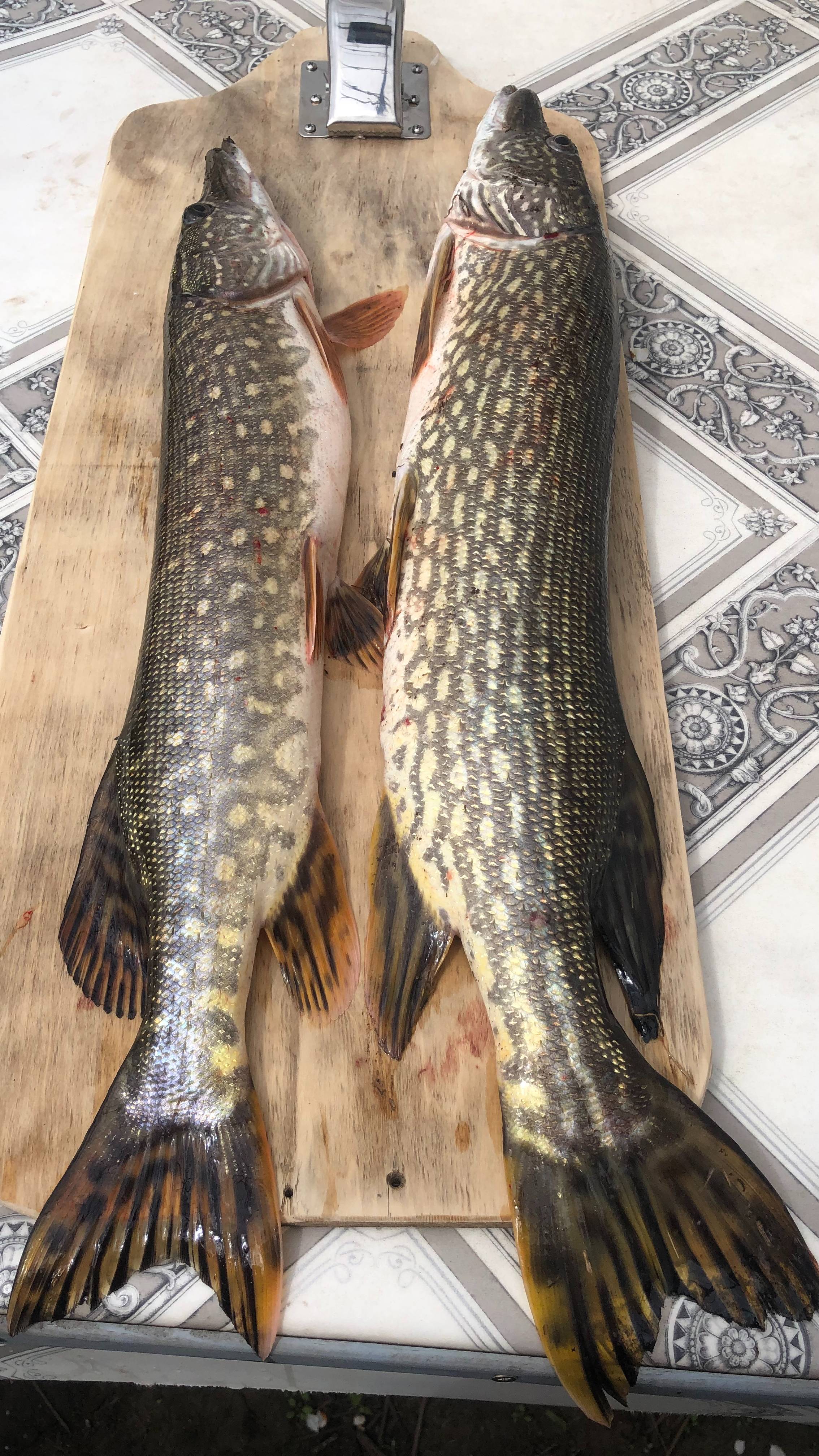 Рыбалка удалась! Волшебная щука_) смотреть онлайн