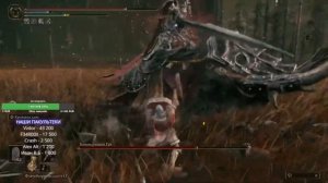 ИМБА билд на танка! Все боссы ложатся с пары траев!!! ДЛС - это легко! [Elden Ring]