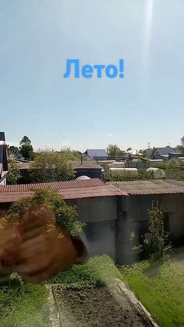 #лето #жара #каникулы