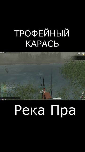 Трофейный Карась. Река Пра. Fisher Online смотреть онлайн