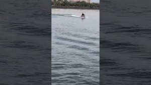 Электрокатер двуместный продажа от производителя