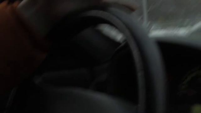 Red Dead Redemption 2 - секретная концовка