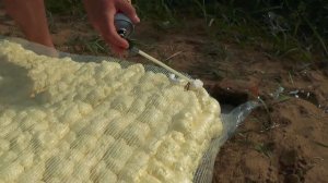 ПЛОТ ИЗ МОНТАЖНОЙ ПЕНЫ