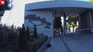 Крым. Форос. Обзор гостиницы и номера