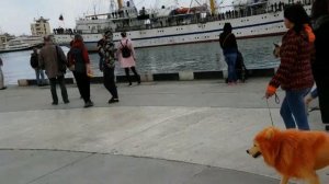 УЧЕБНОЕ ПАРУСНОЕ СУДНО «ХЕРСОНЕС»