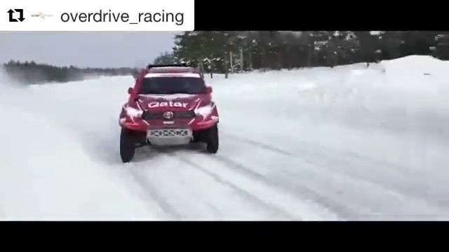 Северный Лес 2018 смотреть онлайн