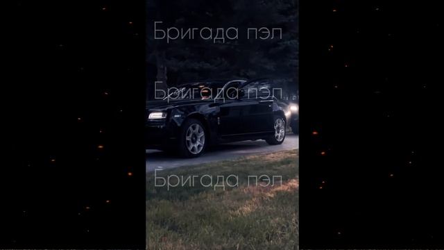 скоро "Балтийские Медведи". Паша пэл смотреть онлайн