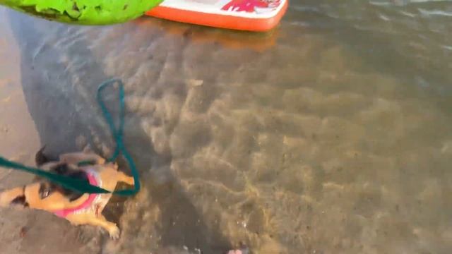 И пусть с утра шёл дождь, купание и катание на Sup никто ?