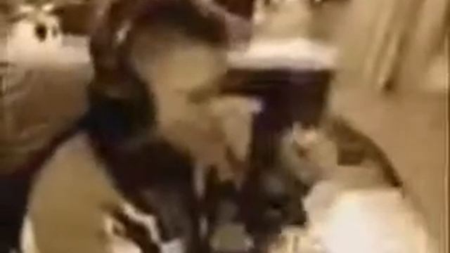 Ессс минус три, юхуу