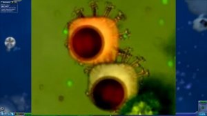 Spore Теории - Eyeguy и другие амёбы