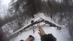 Правильная постановка петли(селка) на лису.