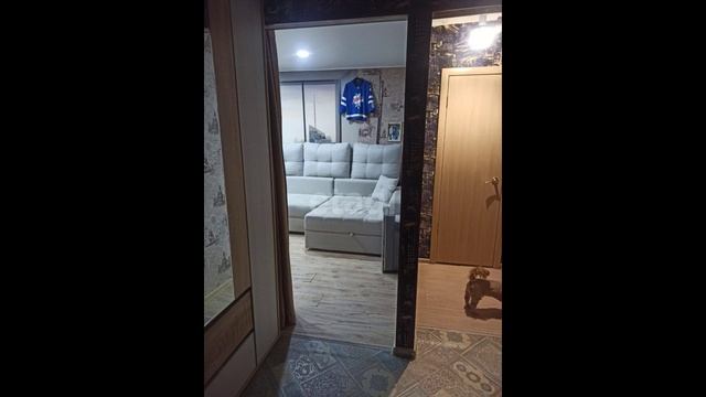 2998569 смотреть онлайн