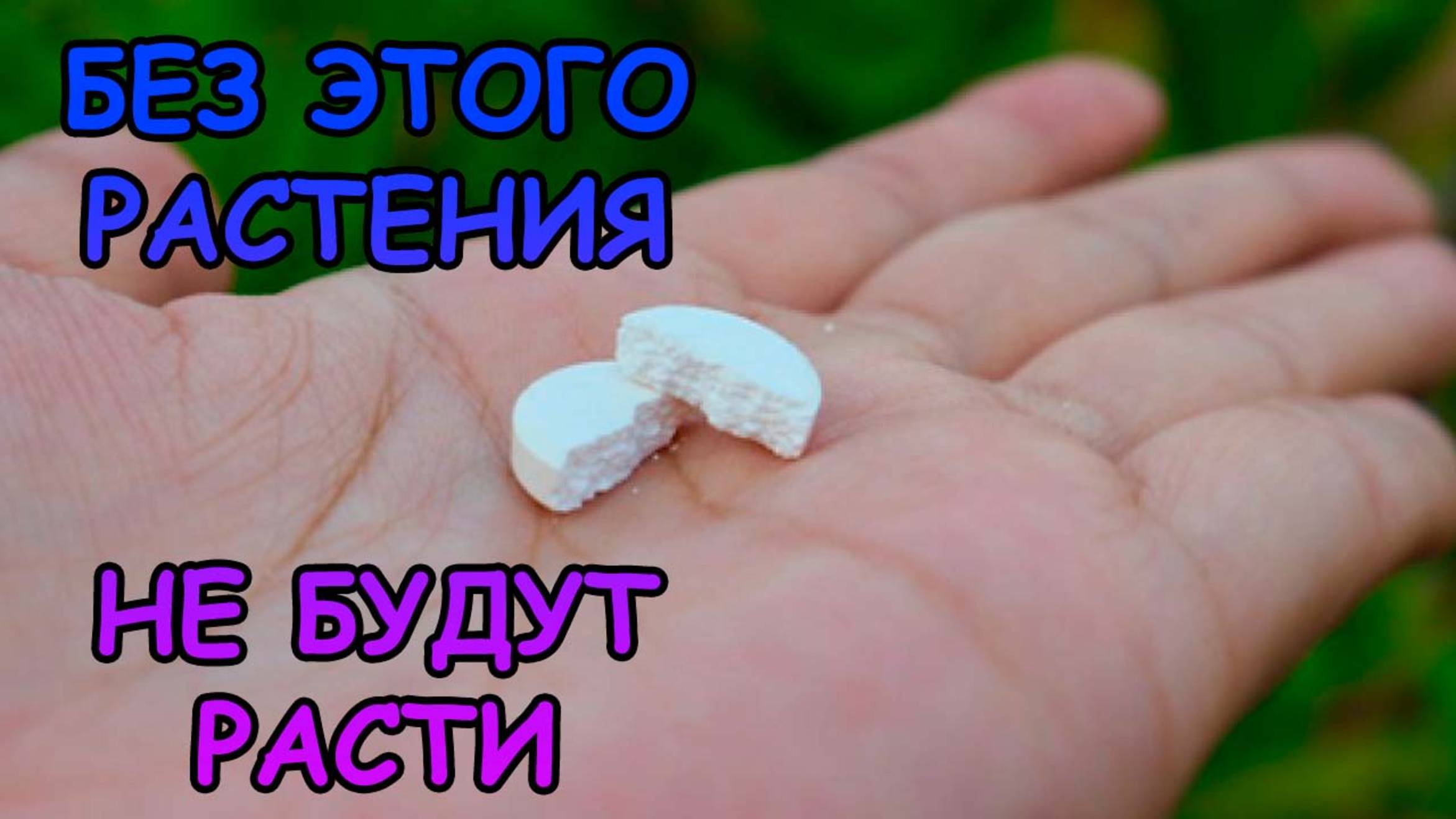 БЕЗ ЭТОГО РАСТЕНИЯ НЕ БУДУТ РАСТИ