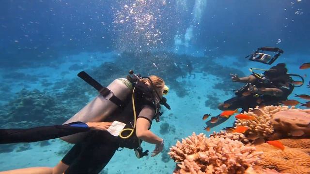 Шарм эль шейх октябрь 24-го года прогулка на яхте.