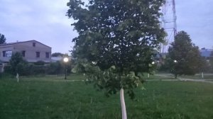 Таловая парк 30-05-2025