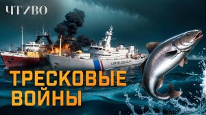 Тресковые войны: Как рыба чуть не развалила НАТО / ЧТИВО