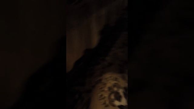 Рисунки в тетради по клеткам довайте наберём 100 лайков и 10 подписчиков смотреть онлайн