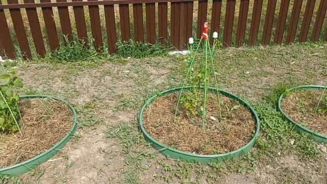 Рано радоалась ОН ОБМАНУЛ , с утра ПЕРЕДЕЛАЛА все дела в ОГОРОДЕ , Нужен ВАШ СОВЕТ смотреть онлайн