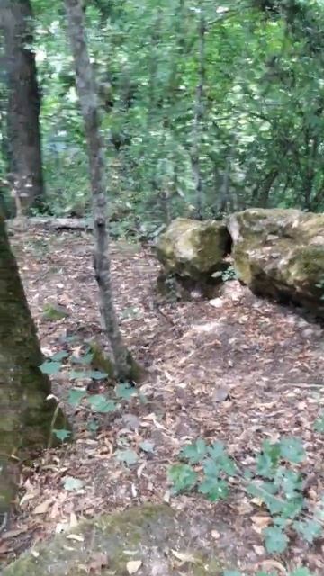 Остатки крупных плит дольмена, ост. 14км, Возрождение/Remains dolmen slabs, stop 14 km, Vozrozhdeni смотреть онлайн