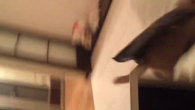 Черный плащ, на помощь!Кот Макса Коржа 720