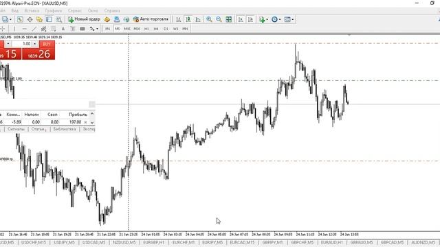 Живой трейдинг на золоте по торговой стратегии смотреть онлайн