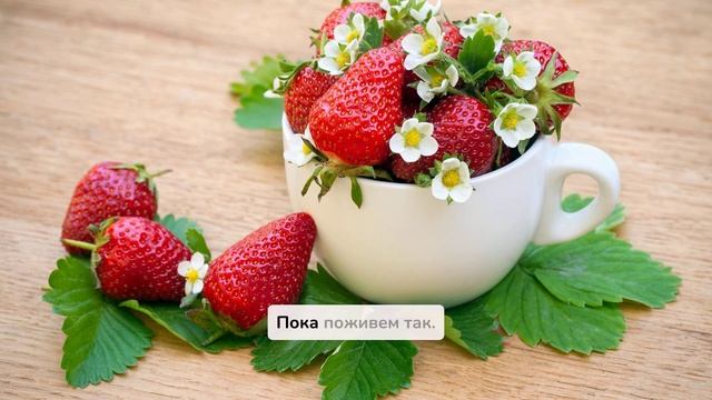 Это моя квартира, и жить я в ней буду одна, — сказала св