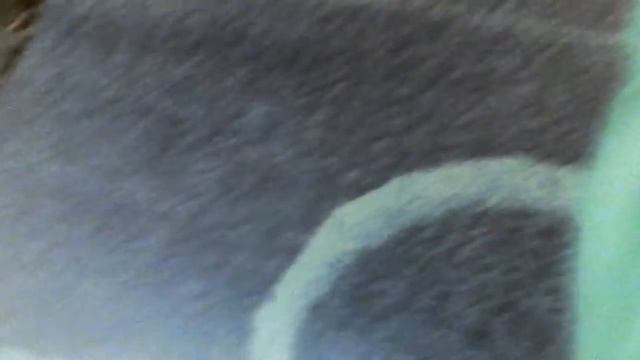 Я АНИМАТРОНИК! ! АР АР АР !! Я ВКЛЮЧИЛА НОЧНОЙ РЕЖИМ ?! смотреть онлайн