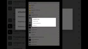 Установка py,zip софтов в термукс.