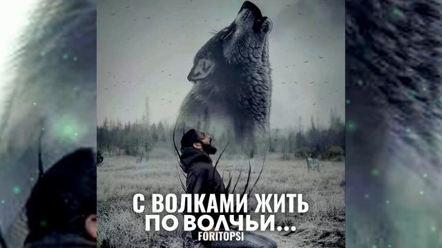 FORITOPSI - "С ВОЛКАМИ ЖИТЬ - ПО ВОЛЧЬИ..." (Бит 2024) смотреть онлайн
