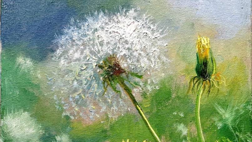 Одуванчик.Живопись маслом смотреть онлайн