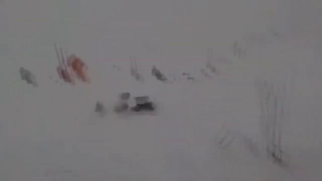 ПРИДУРКИ - 2 ЧАСТЬ смотреть онлайн