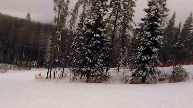 Нечкино ноябрь 2015