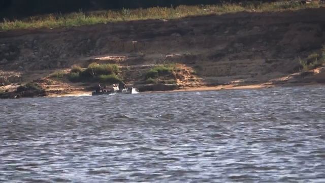 ПУТЕЙСКИЙ 4   НТ 21  ПЛЁС 1959г         БУКСИР ПАЛЕНЬГА  1970г