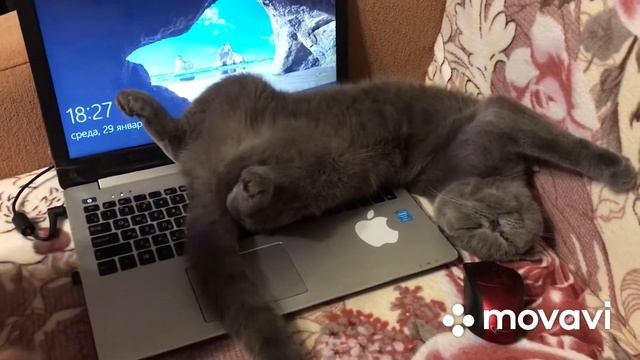 ВЛОГ 🙃🙃 Неожиданный выходной 🙃🥳 Игры и парикмахе? смотреть онлайн