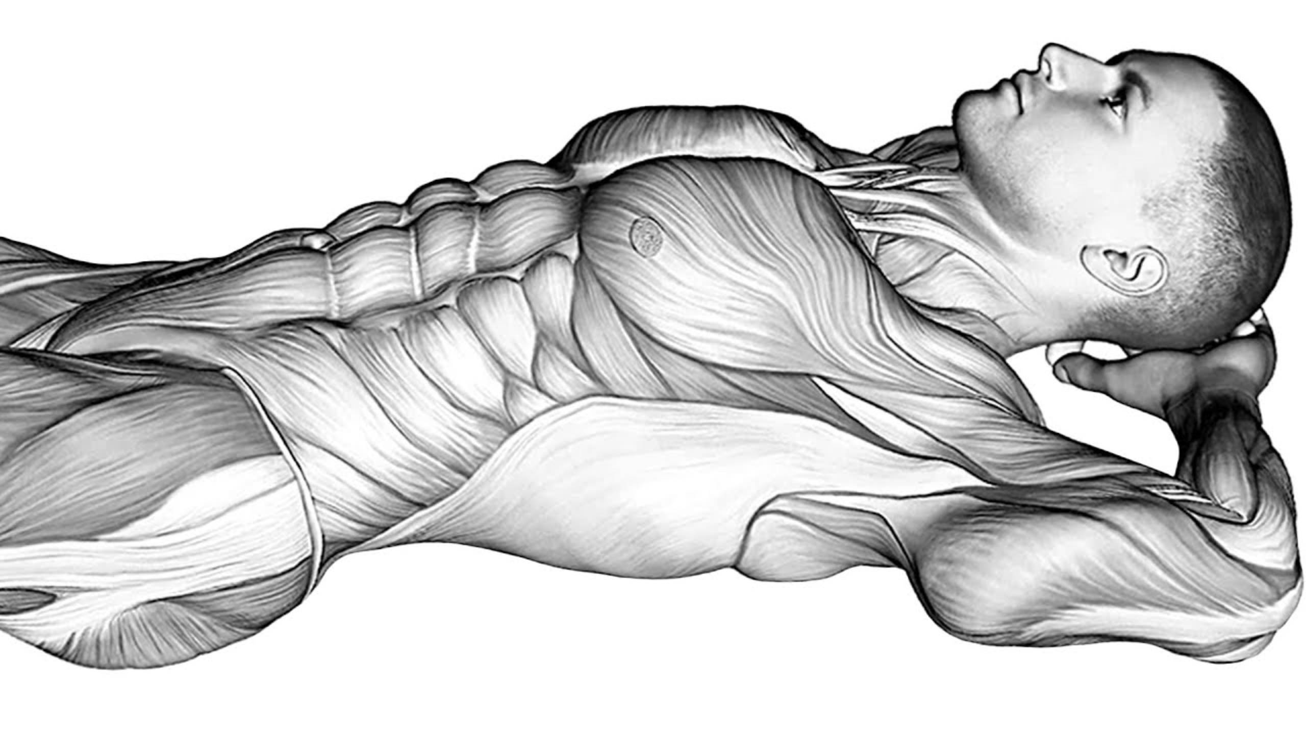 12 лучших Упражнений для Каждого смотреть онлайн