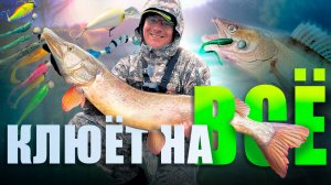ЛОВИМ НА ВСЕ ПРИМАНКИ КРУПНУЮ РЫБУ!