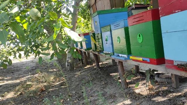 ЗДАЛ МЕД ПО 47 грн !!! 1.08.2024