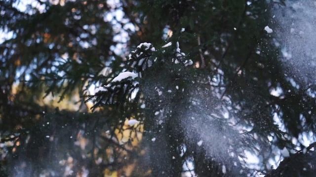 Зимняя семейная история. смотреть онлайн