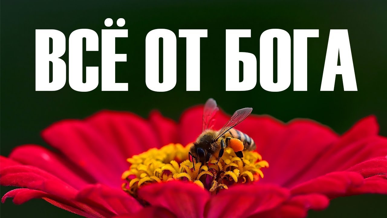 Виктор Желтов — Всё от Бога смотреть онлайн